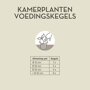 Pokon Kamerplanten Voeding Langwerkende Kegels instructie